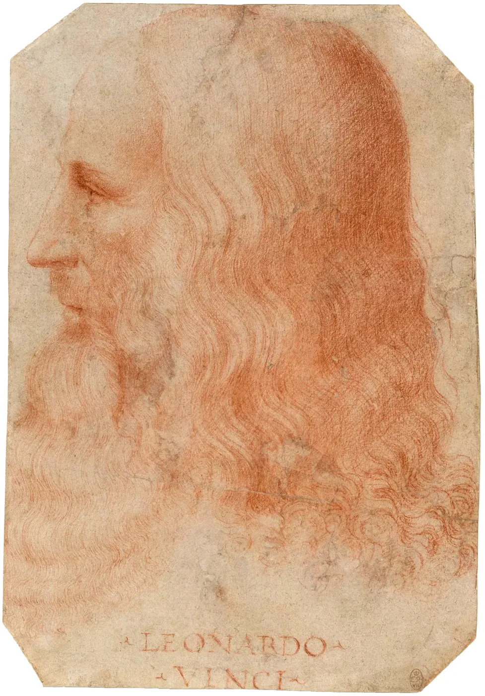 Retrato de Leonardo da Vinci