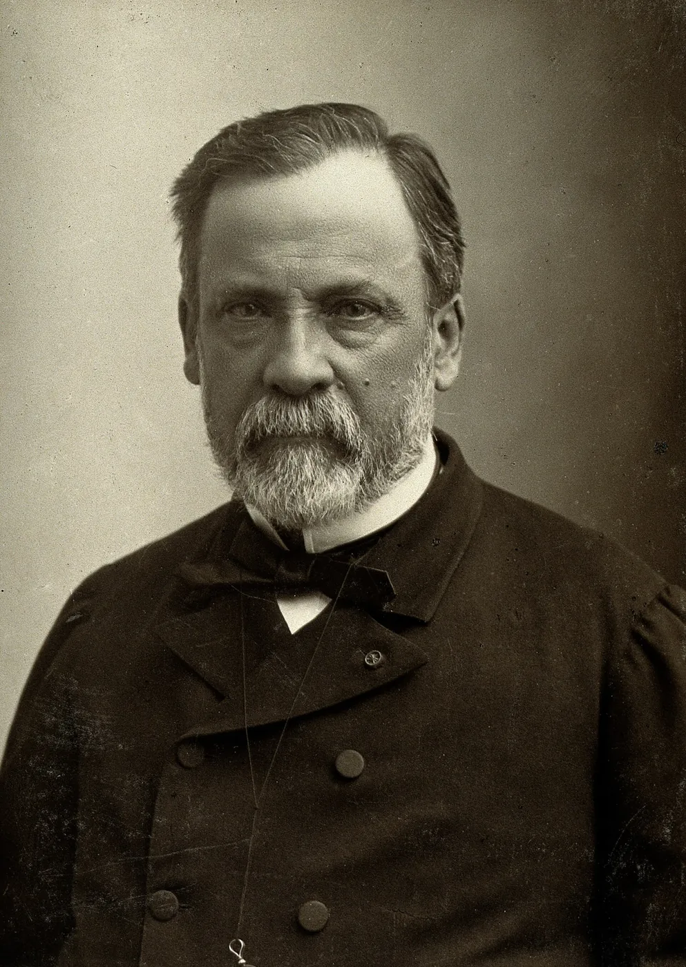 Retrato de Louis Pasteur