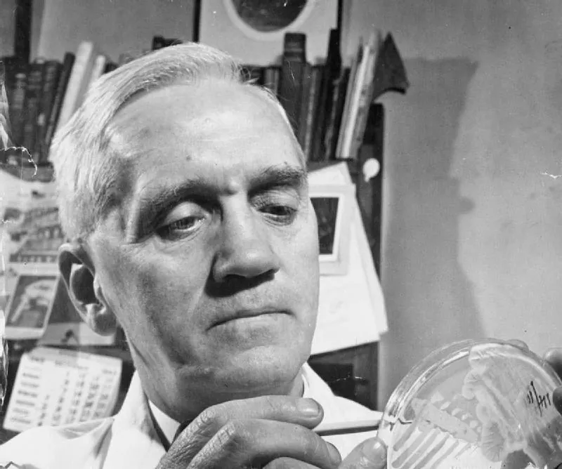 Alexander Fleming observa una placa de cultivo en su laboratorio