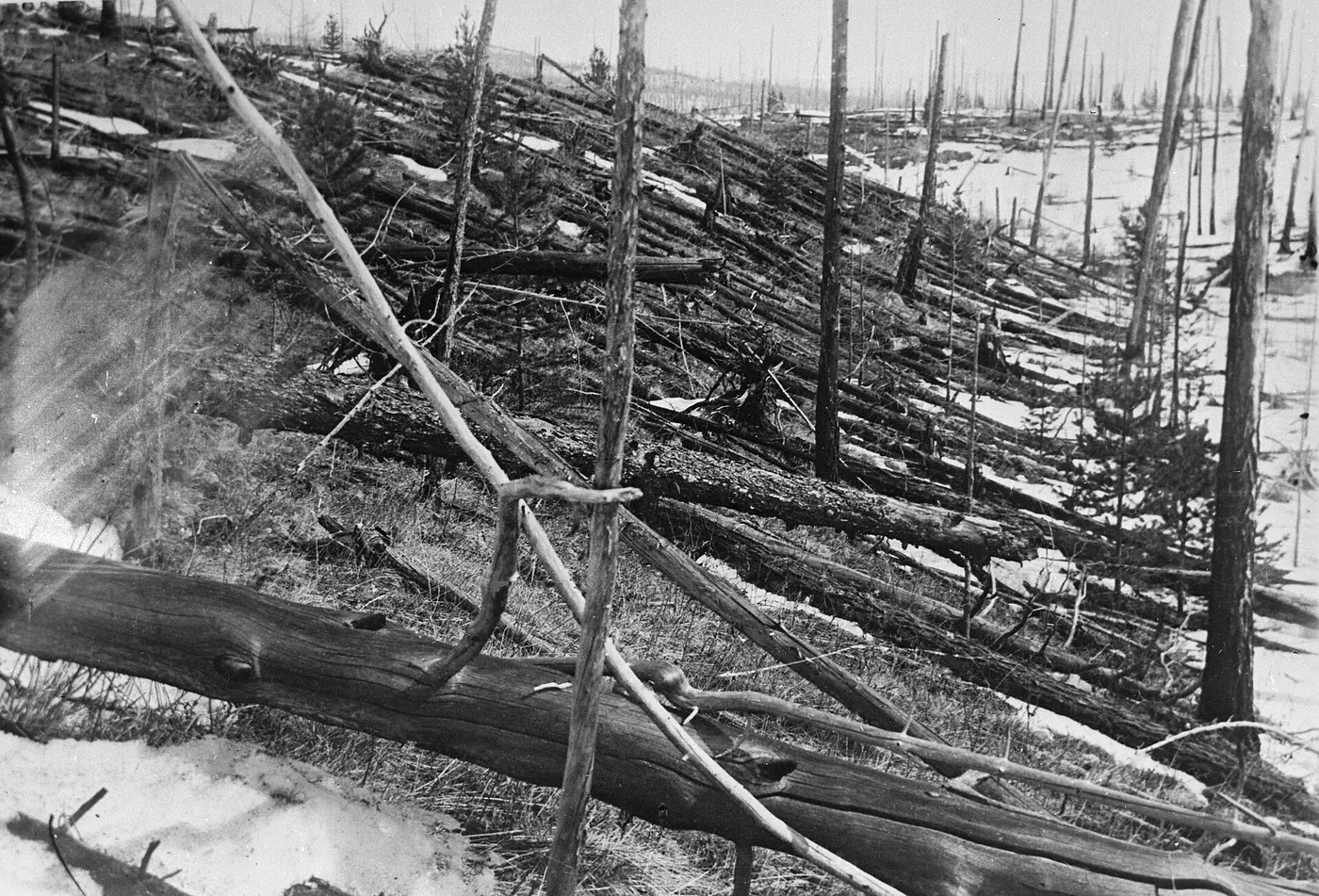 El evento de Tunguska