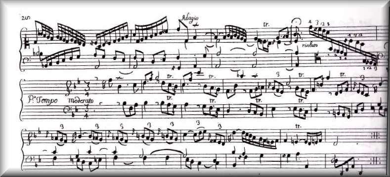 La sonata: música sin letra que se sostiene sola